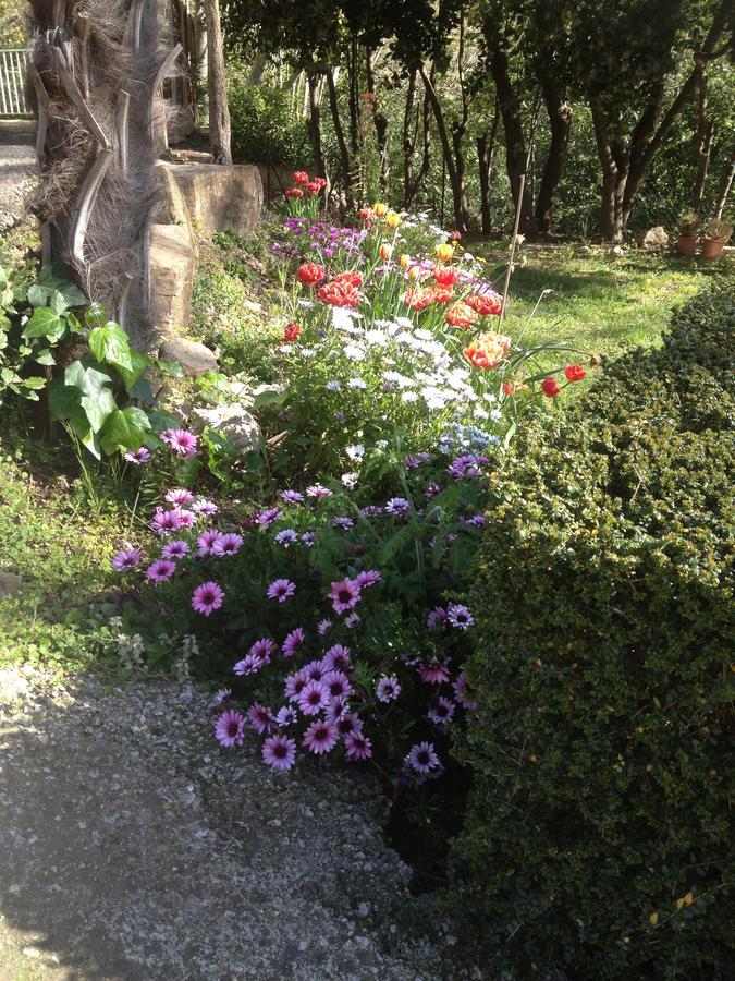 L'Ecrin D'Osely Bed and Breakfast Lodève Eksteriør billede